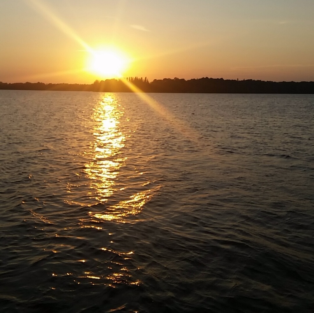 Meet your Posher, Bailey